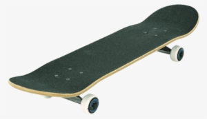 Free Png Skateboard Png Images Transparent - You Mess With Gecko You Get Pecko