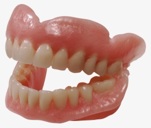 People - Teeth - Teeth Png