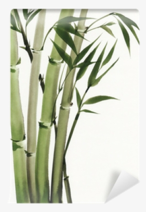 Bamboo Painting Watercolor