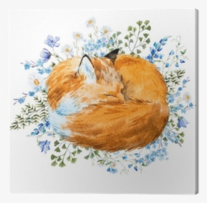 Watercolor Sleeping Fox