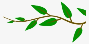 Cartoon Tree Branch Png Png Free Download - Tree Branch Transparent Background