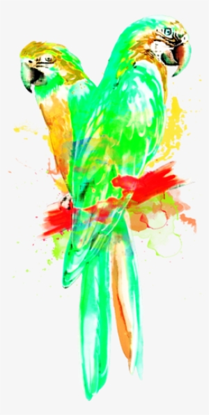 It's Good To Know - Nassau