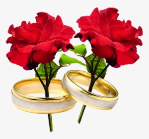 Two Red Roses And Wedding Rings - Wedding Ring With Flowers Png