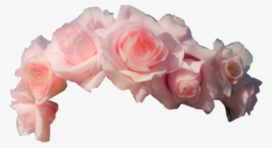 Light Pink Roses Flower Crown Transpa Png Image 218 - Pink Flower Crown Transparent