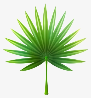 Exotic Clipart For Kid