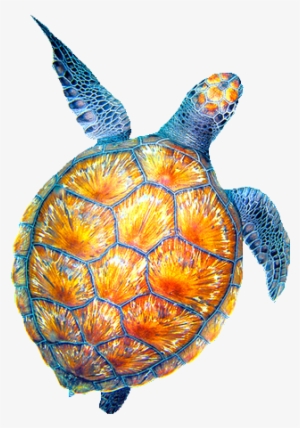 Sea Clipart Tumblr Transparent - Drawing