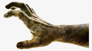 Zombie Hand Png Download Image - Reanimator By H. P. Lovecraft