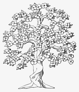 Large Hand Drawn Watercolor Tropical Plants Set Royalty - Big Family Tree Drawing