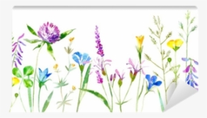 Floral Border Of A Wild Flowers And Herbs On A White - White Background Grass Flower