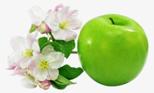 Flower Of Apple Fruit
