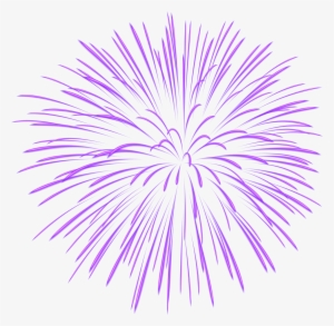 Purple Fireworks Transparent
