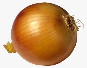 Visit - Onion