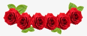 Red Rose Flower - Red Flower Crown Transparent
