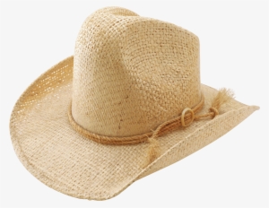 Brown Cow Boy's Hat Png Image - Unofficial Guide To Branson, Missouri [book]