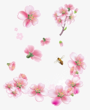 Spring Pink Trees Flowers Png Clipart - Sakura Vector