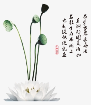 This Graphics Is Painted Clear Lotus Flower Element