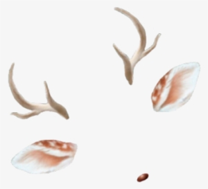 Download Filters Free Transparent - Deer Snapchat Filter Png