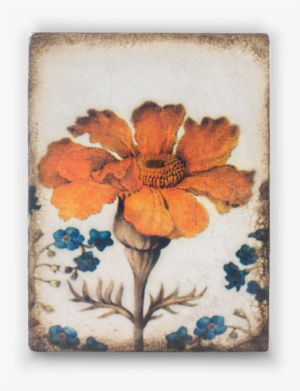 The Kingdom Collection - Sid Dickens Inc