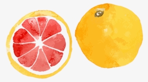 Meal Planning And Grocery List: Meal Planner