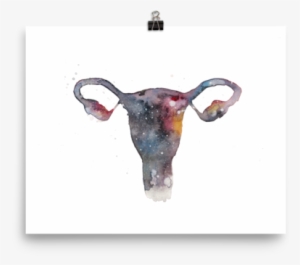 The Uterverse Print - Bull