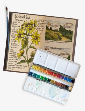 Nature Journal Basics Three Easy Steps To Get You Started - Nature