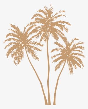 Gold Palm Leaves Png Image Free Stock - Gold Palm Tree Png