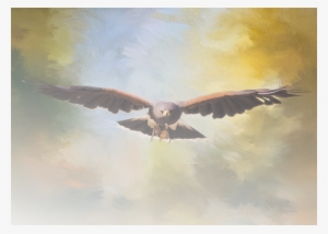 Melee Weapon Attack - Maybe - Hawk Art