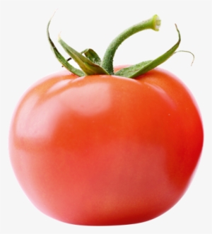 Tomatoes - Tomato