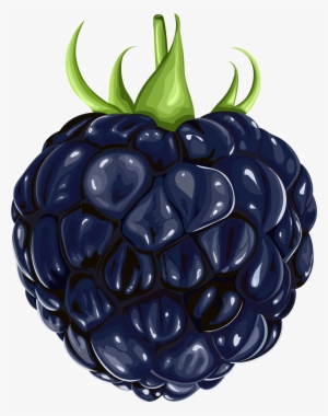 Black Raspberry Clip Art