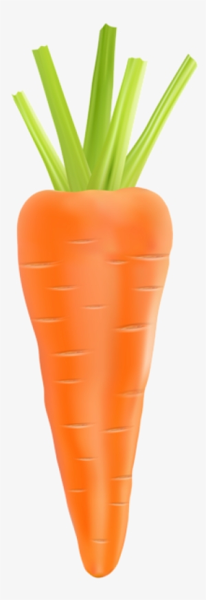 Carrot Transparent Png Clip Art Image - Carrot Transparent