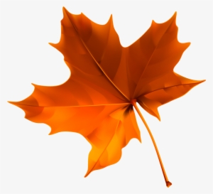 Fall Png