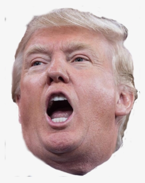 Show - Trump Icon Png