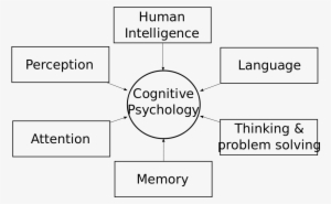 Areas Of Cognitive Psychology