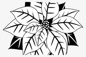 Download Wallpaper Poinsettia Clipart Border Full Wallpapers - Letterpressed Mistletoe Coasters - Hautepapier