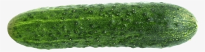 Free Png Cucumber Png Images Transparent - Cucumber Png
