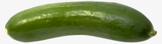 Free Png Cucumber Png Images Transparent - Cucumber Png