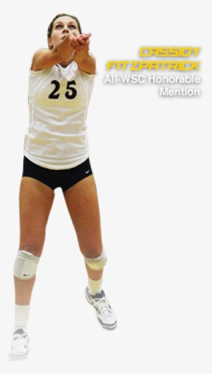 Header Background - College Of The Canyons