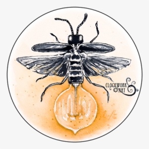 Dragonflies - Firefly Iv