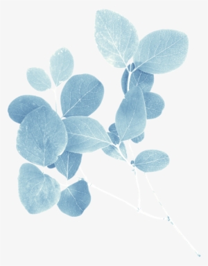 Element Ladypapillon ❤ Liked On Polyvore Featuring - American Aspen