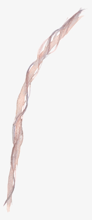 Ribbon Cartoon Transparent Material - Portable Network Graphics