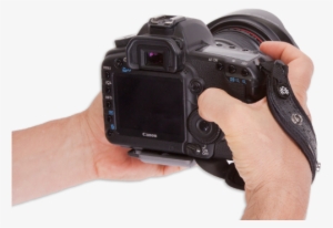100414spider Image - Hand And Camera Png