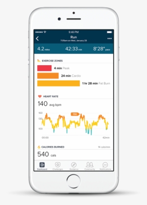 Fitbit App Heart Rate Zones - Fitbit Blaze Plum Silver - Large