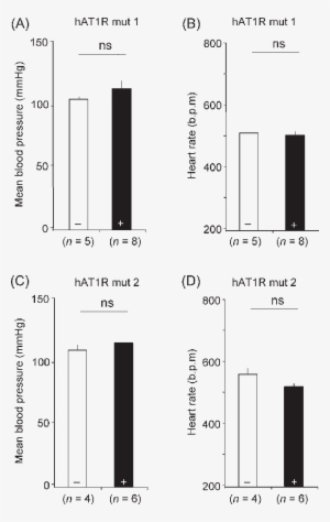 Telemetry Recording Of Blood Pressure And Heart Rate - Myosin Light-chain Kinase