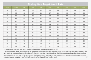 Target Heart Rate - New Balance Shoe Size And Width