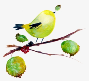 Verderon Trans - Twig