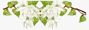 Floral Clipart Winter - Borders And Frames