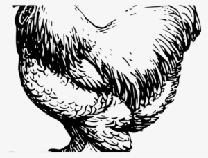 Drawn Chicken Male Chicken - Black And White Chicken Clipart
