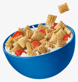 Vector Cereal - Quaker Oatmeal Squares