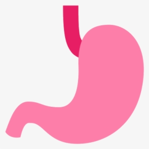 Stomach Png
