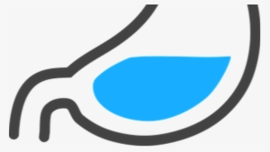 Stomach